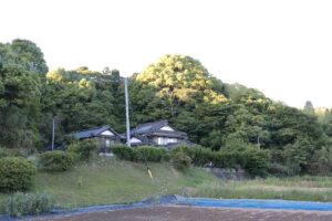 山辺由遺跡